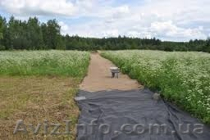 Геотекстиль для борьбы с камышом SF 40 - <ro>Изображение</ro><ru>Изображение</ru> #1, <ru>Объявление</ru> #1430619