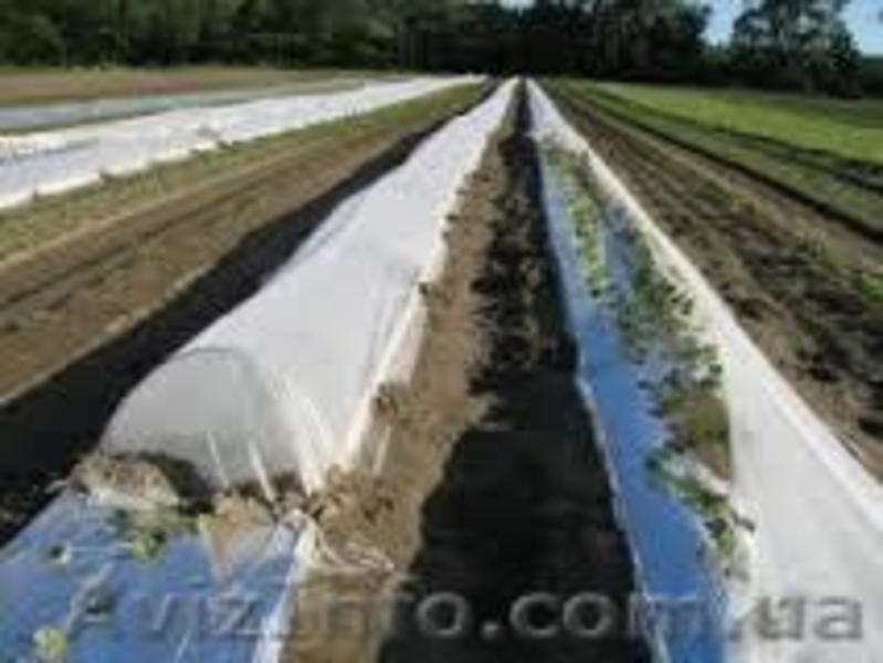 Геотекстиль для борьбы с камышом SF 40 - <ro>Изображение</ro><ru>Изображение</ru> #3, <ru>Объявление</ru> #1430619