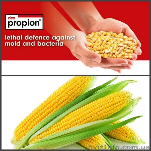 Купить средства защиты растений недорого - <ro>Изображение</ro><ru>Изображение</ru> #3, <ru>Объявление</ru> #1506047