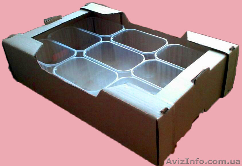 Продам картонный лоток,ящик под ягоду и фрукту - <ro>Изображение</ro><ru>Изображение</ru> #1, <ru>Объявление</ru> #1544113