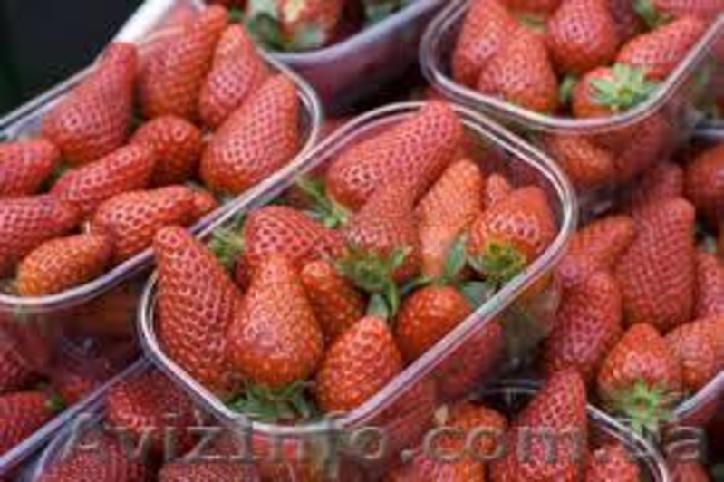 Пластиковая пинетка для клубники 1,0 кг - <ro>Изображение</ro><ru>Изображение</ru> #2, <ru>Объявление</ru> #1542682