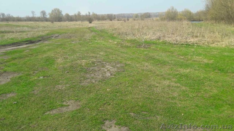 Участок под строительство дома - <ro>Изображение</ro><ru>Изображение</ru> #5, <ru>Объявление</ru> #1556760