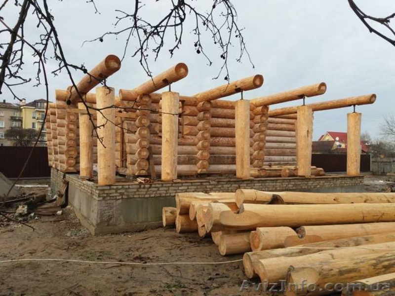 Срочно продам дом-сруб из дикого бревна! - <ro>Изображение</ro><ru>Изображение</ru> #2, <ru>Объявление</ru> #1599780