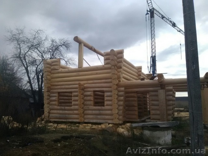 Срочно продам дом-сруб из дикого бревна! - <ro>Изображение</ro><ru>Изображение</ru> #3, <ru>Объявление</ru> #1599780