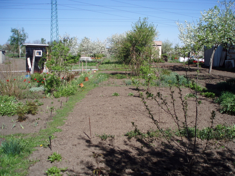 продам дачнй участок  - <ro>Изображение</ro><ru>Изображение</ru> #1, <ru>Объявление</ru> #1699388