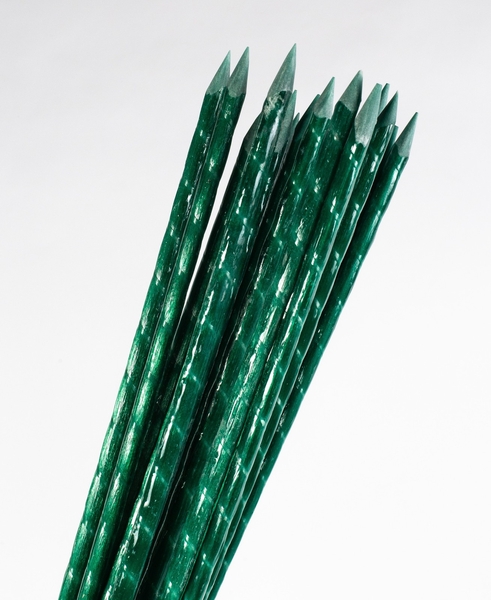 POLYARM Колышки, опоры для растений из композитных материалов . Доставка - <ro>Изображение</ro><ru>Изображение</ru> #2, <ru>Объявление</ru> #1711996