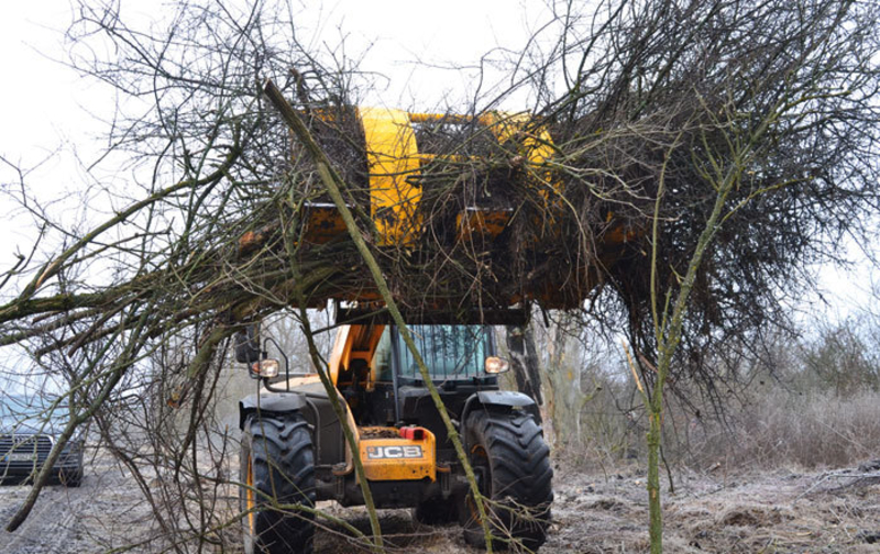 Захват для бревен, захваты деревьев. Лесозахват, бревнозахват, колодозахват - <ro>Изображение</ro><ru>Изображение</ru> #1, <ru>Объявление</ru> #1538863