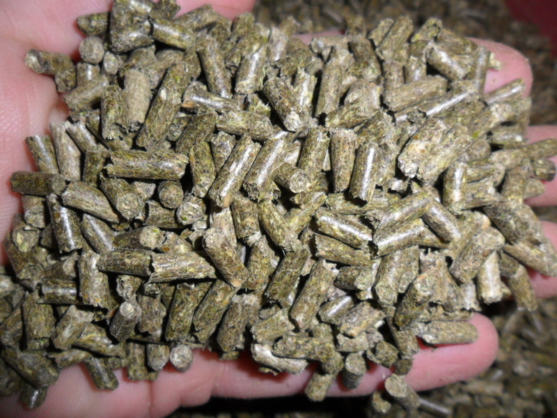 Послуги гранулятора (Гранулюю комбікорм) - <ro>Изображение</ro><ru>Изображение</ru> #1, <ru>Объявление</ru> #1740831