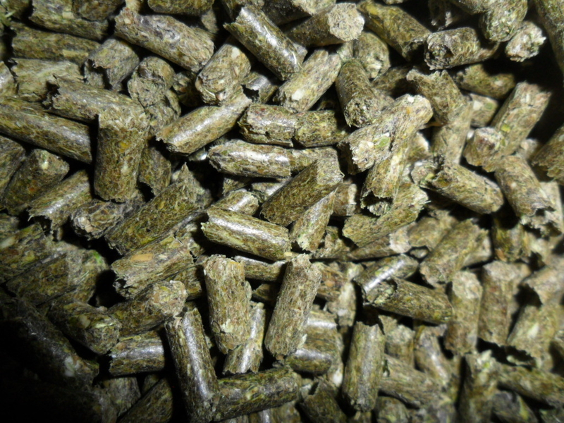 Послуги гранулятора (Гранулюю комбікорм) - <ro>Изображение</ro><ru>Изображение</ru> #2, <ru>Объявление</ru> #1740831