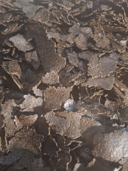 Макуха. Виробник. - <ro>Изображение</ro><ru>Изображение</ru> #1, <ru>Объявление</ru> #1743146