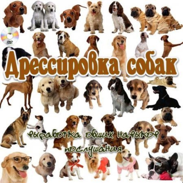 Приглашаем в КЛУБ СОБАКОВОДСТВА - <ro>Изображение</ro><ru>Изображение</ru> #3, <ru>Объявление</ru> #2995